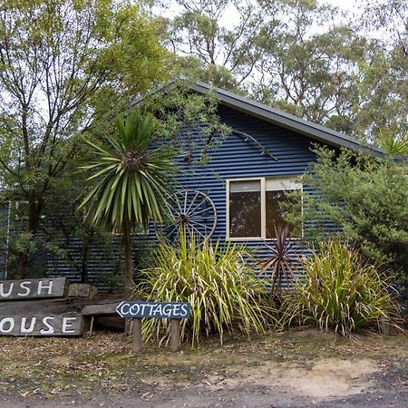 Lorne Bush House Cottages & Eco Retreats Kültér fotó